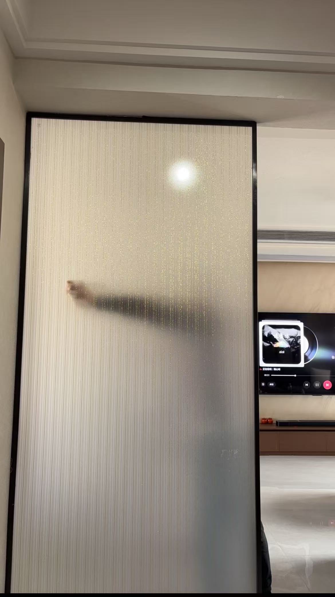 可定制夹丝玻璃